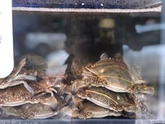 -香满居张记小厨私房菜(青岛站店)