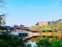 -重庆彩云湖湿地公园