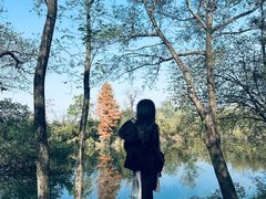 -木守西溪溪隐餐厅