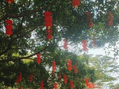 -顺峰山公园