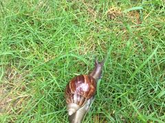 -惠州金海湾嘉华度假酒店