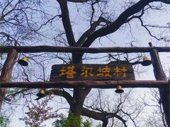 -云丘山景区