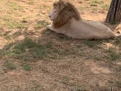 -秦皇岛野生动物园