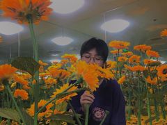 -天津梵高星空艺术馆(天河城旗舰店)