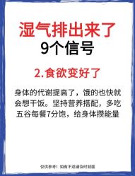 -Fundi张玉珊修身堂·indiba·BTL科技瘦身