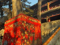 -潭柘寺景区