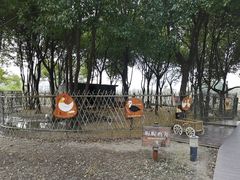 -田园东方蜜桃村的田野营地