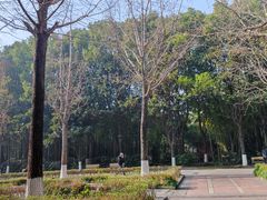 -苏州河梦清园环保主题公园