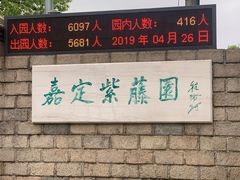 -嘉定紫藤园