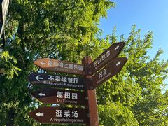 -南京老山国家森林公园