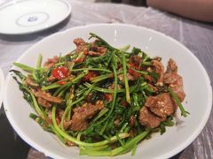 香菜炒牛肉-壹盏灯(惠农店)