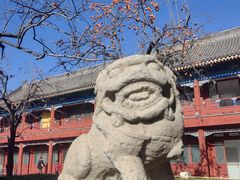 -北京石刻艺术博物馆(五塔寺)