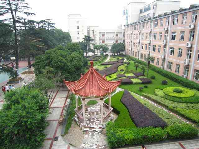 武汉市东湖中学-"什么课这么开心狂奔去操场打雪仗?连接这头.