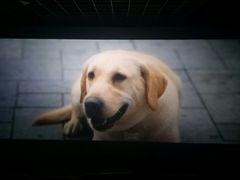 -星河国际影城(新会店)