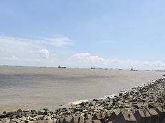 -上海滨江森林公园