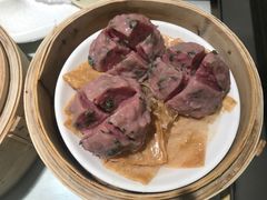 -南枝记