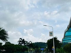 -南沙蒲洲花园