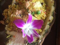 -卷心菜和避孕套餐厅(Pattaya)