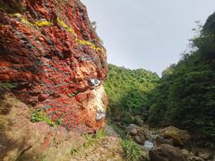 -南海湾森林生态园
