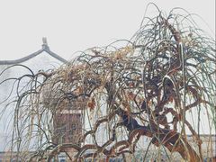 -我嘉书房(南翔名士居店)