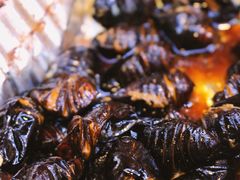 -喝丢一只鞋海鲜烧烤·海肠捞饭(市场店)
