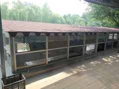 -尚庄度假村·庭台树下·户外烧烤·团建CS·轰趴营地(上庄水库店)