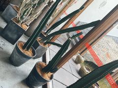 -几荷·恰似故人来(秀水广场店)