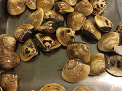 iphone_upload_pic-大蟹天下海鲜自助