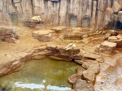 -西安曲江海洋极地公园