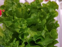 -左庭右院鲜牛肉火锅(长泰广场店)