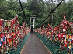 -西双版纳原始森林公园