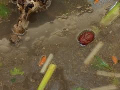 -周老三跷脚牛肉·全牛火锅(非遗传承店)