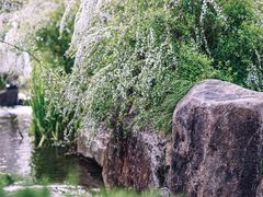 -中国茶叶博物馆(双峰馆区)