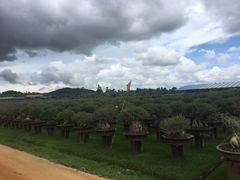 -东芭乐园