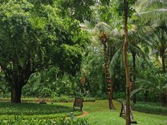 -三亚湾海居铂尔曼度假酒店