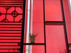 景观位-喜记避风塘炒辣蟹(旗舰店)