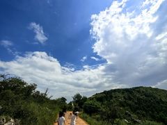 -长虫山生态公园风景林