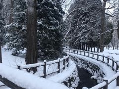-北海道神宫