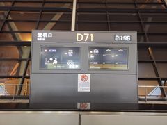 -上海浦东国际机场-T2航站楼