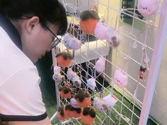 -后湖小院·乡野田园菜