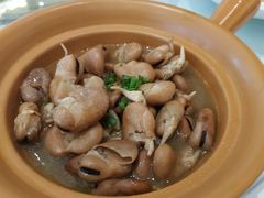鸡汁发芽豆-骏莱海鲜鱼港(五角场店)