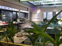 -探窝·竹笙椰子鸡(杨箕店)