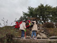 -自贡恐龙博物馆