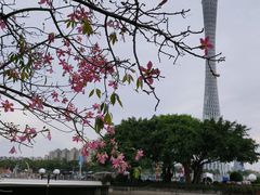 -海心沙亚运公园