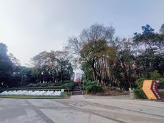 -重庆彩云湖湿地公园