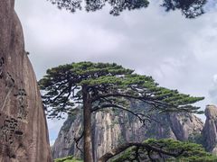 -高一点·徽味酥饼王·黄山烧饼