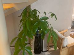 -泰合玺·精油疗愈 SPA(南京河西万达店)