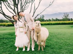 -索菲亚摄影会所