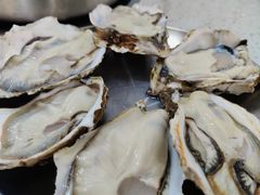 -冯姐生蚝(长隆横琴店)