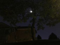 -虚荣精酿酒屋(五羊店)